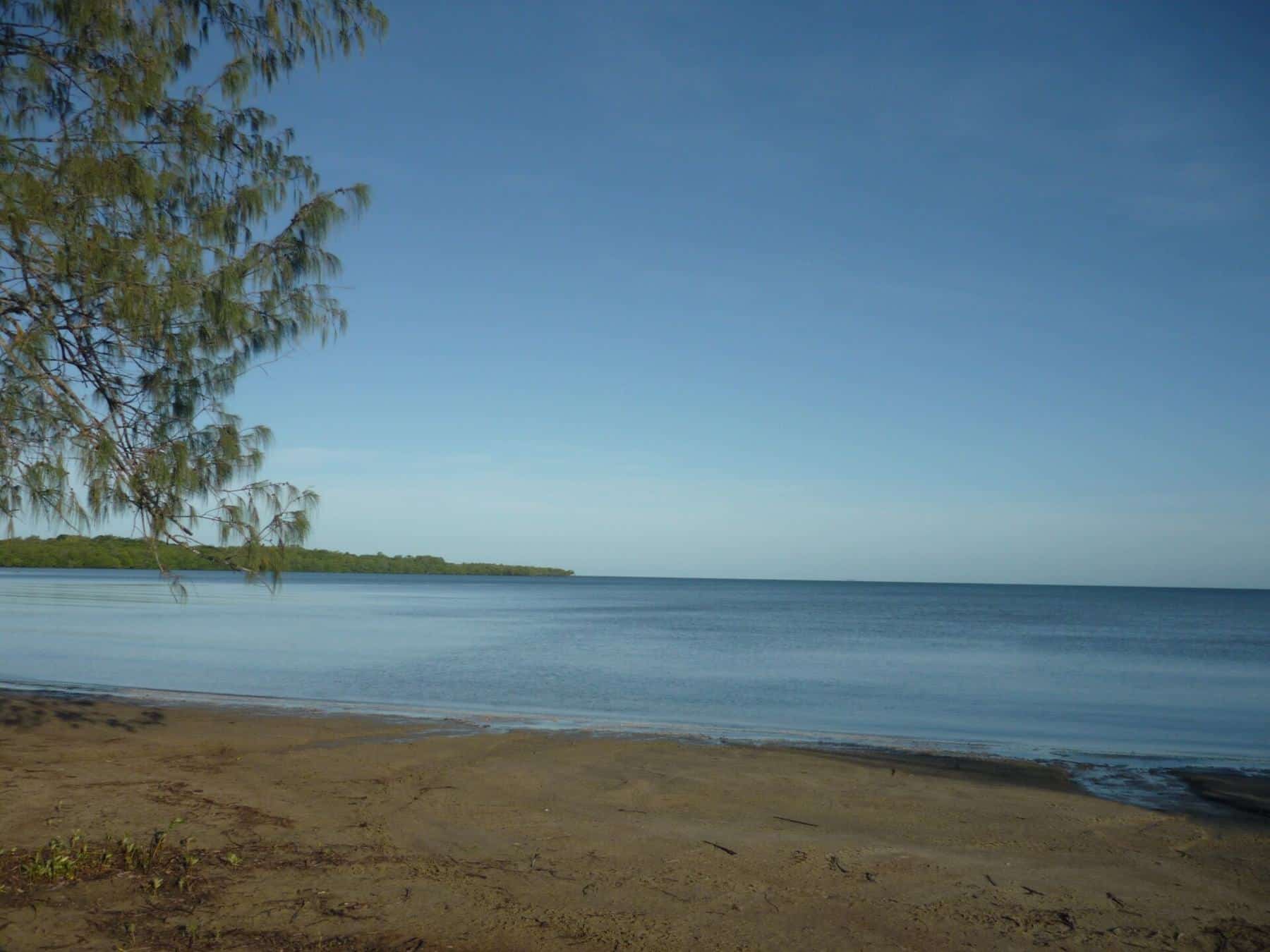 A calm coastal bay at Weipa with a sandy shore and low trees