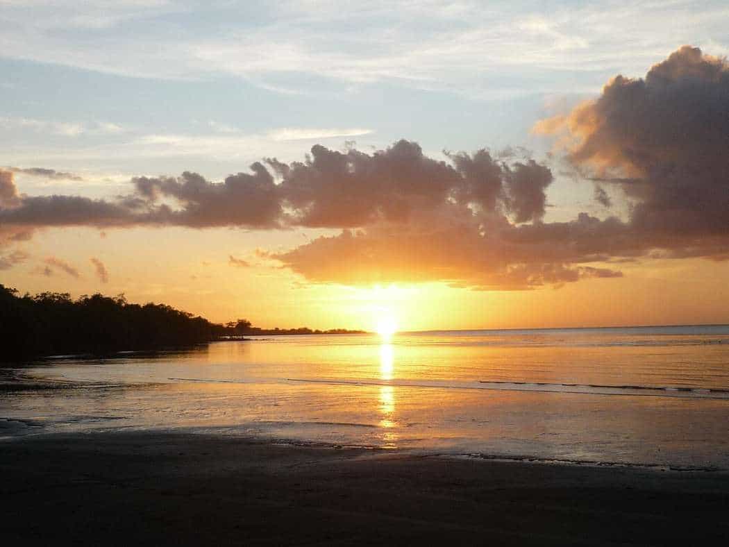 The sun setting over the Gulf of Carpentaria at Weipa, with mangroves silhouetted against an orange sky